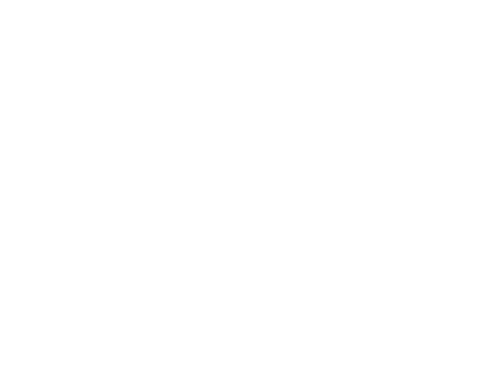 植物や生物など扱いが難しい特殊貨物もスムーズに輸出。手続きも物流もすべてサポート。