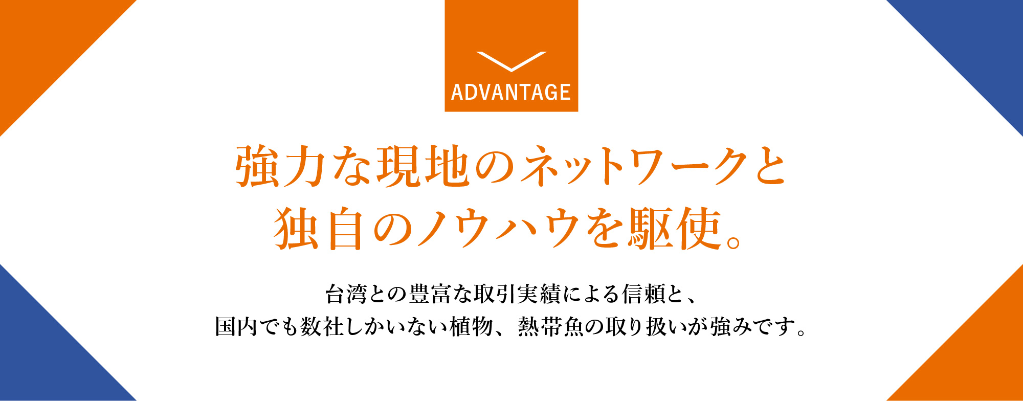 強力な現地のネットワークと独自のノウハウを駆使。台湾との豊富な取引実績による信頼と、国内でも数社しかない植物や熱帯魚の取り扱いが強みです。