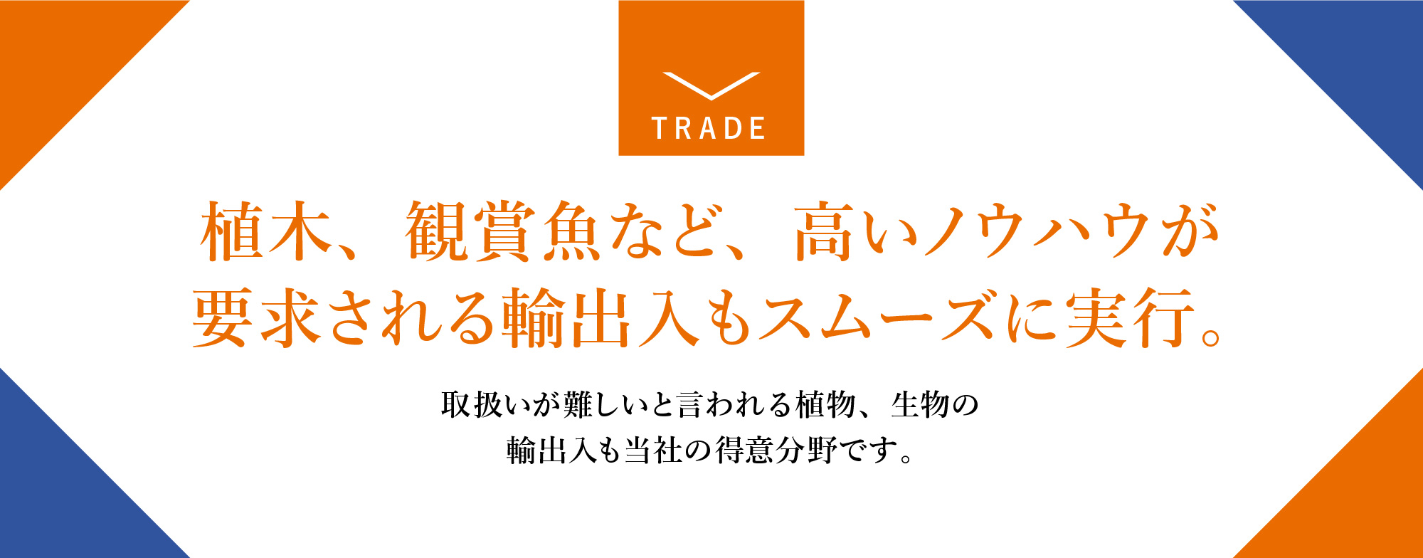 海外進出のビフォーから、アフターまで一貫してサポート。輸出が初めての方でも、小規模企業の方でも安心してお任せください。