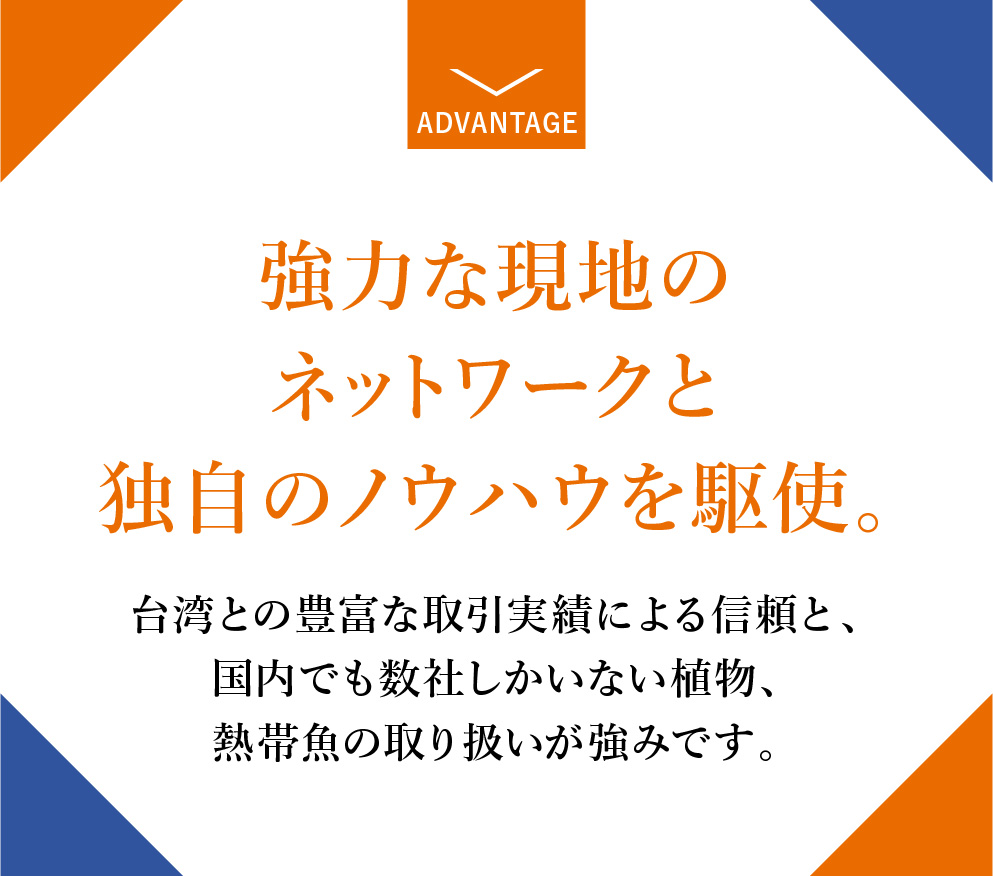 強力な現地のネットワークと独自のノウハウを駆使。台湾との豊富な取引実績による信頼と、国内でも数社しかない植物や熱帯魚の取り扱いが強みです。